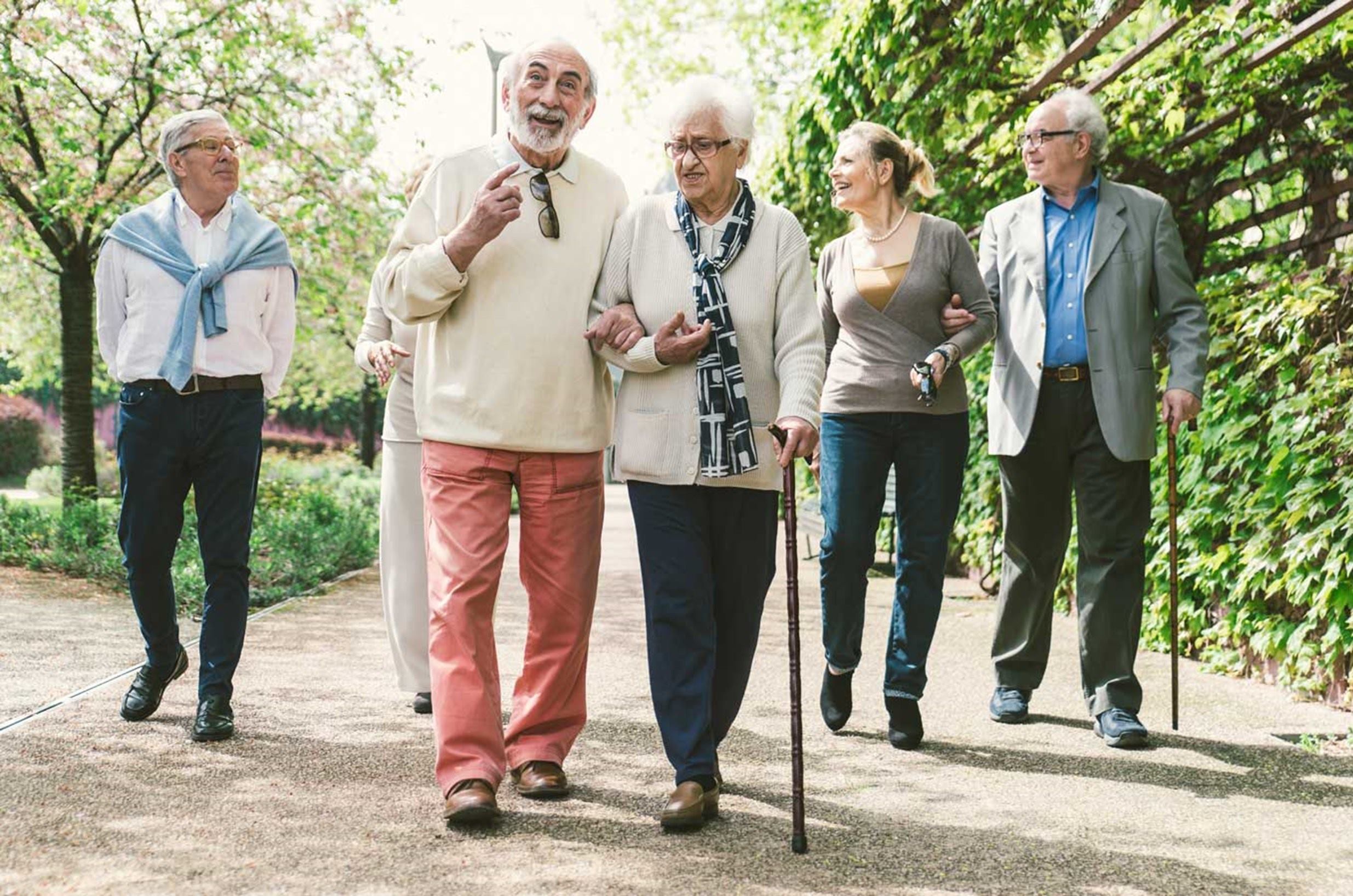 Adultos mayores caminando en un parque